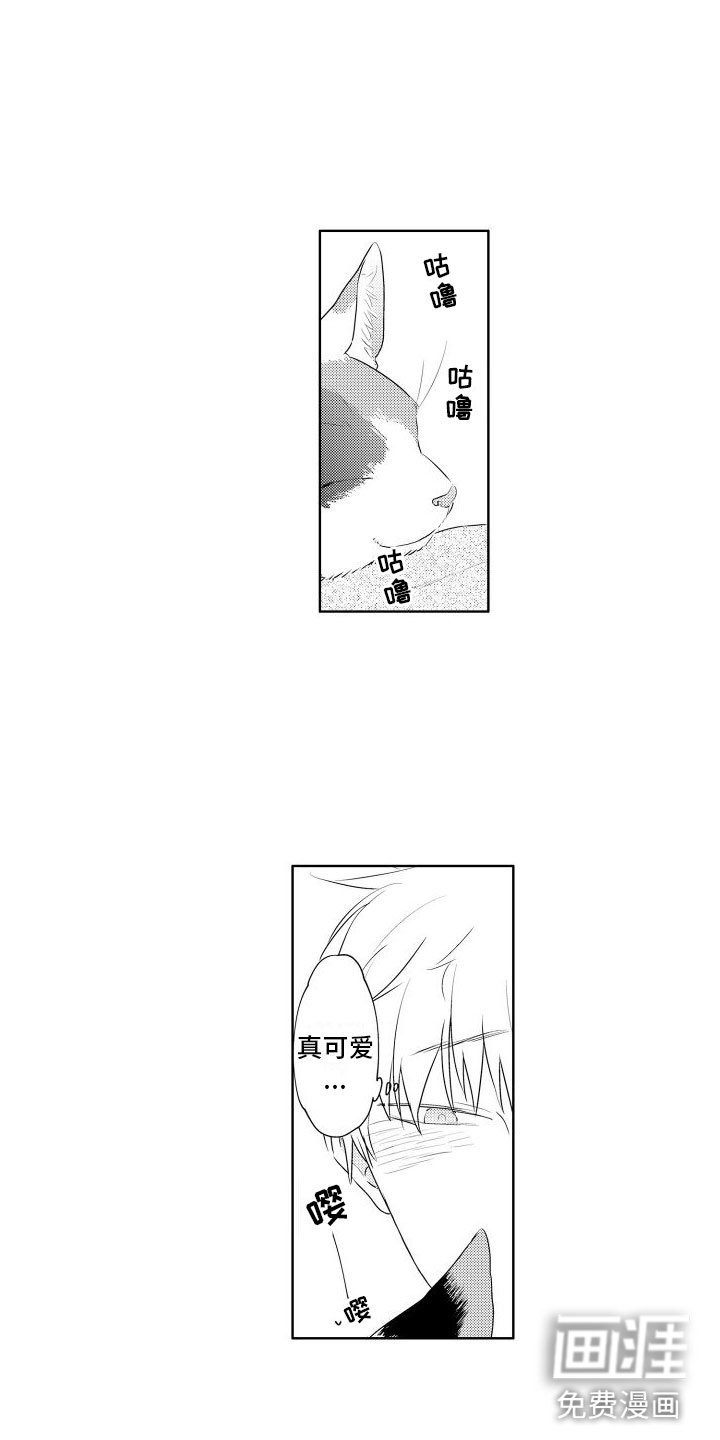 第6章：想看狗狗