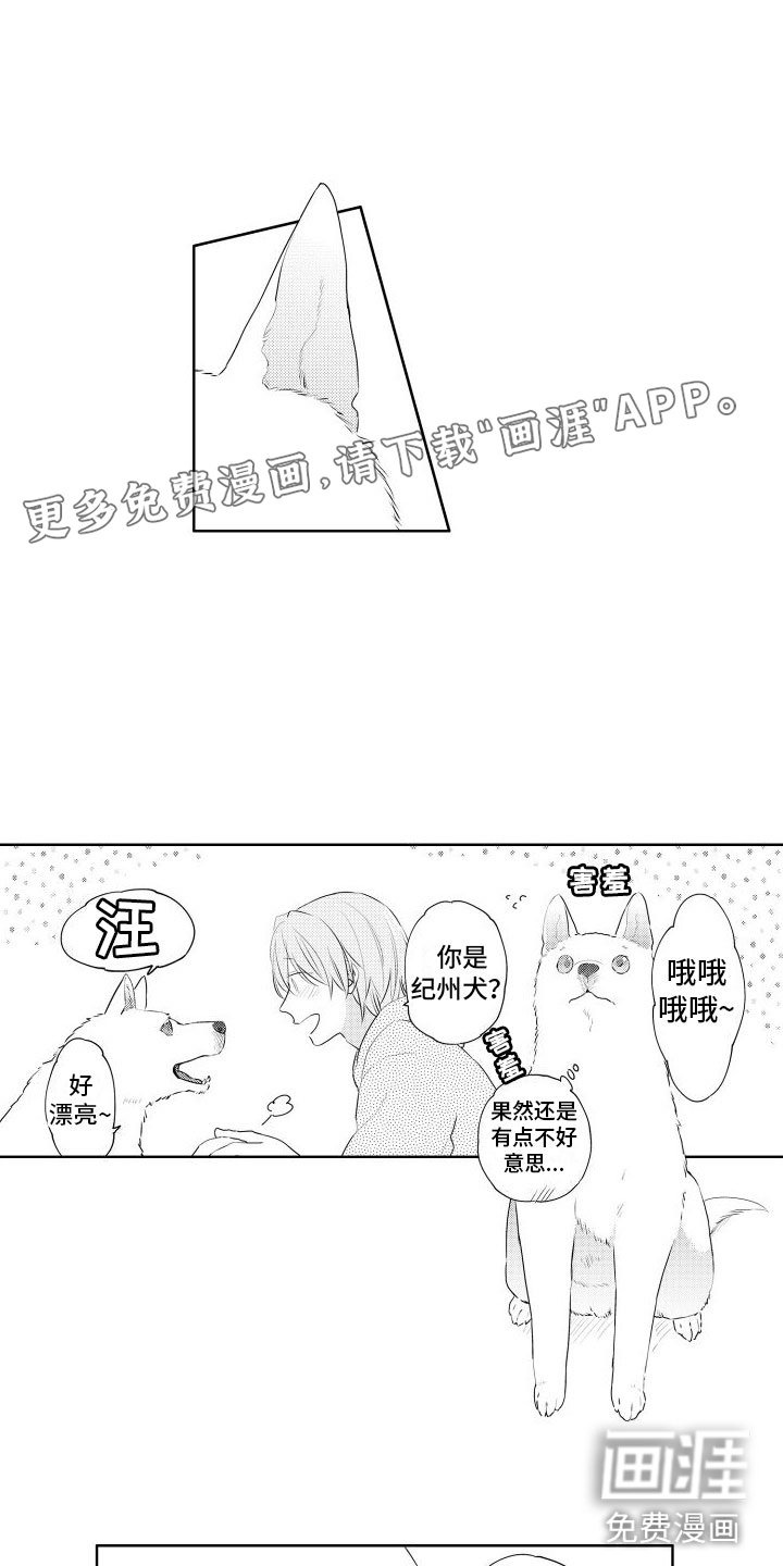 第7章：不好意思