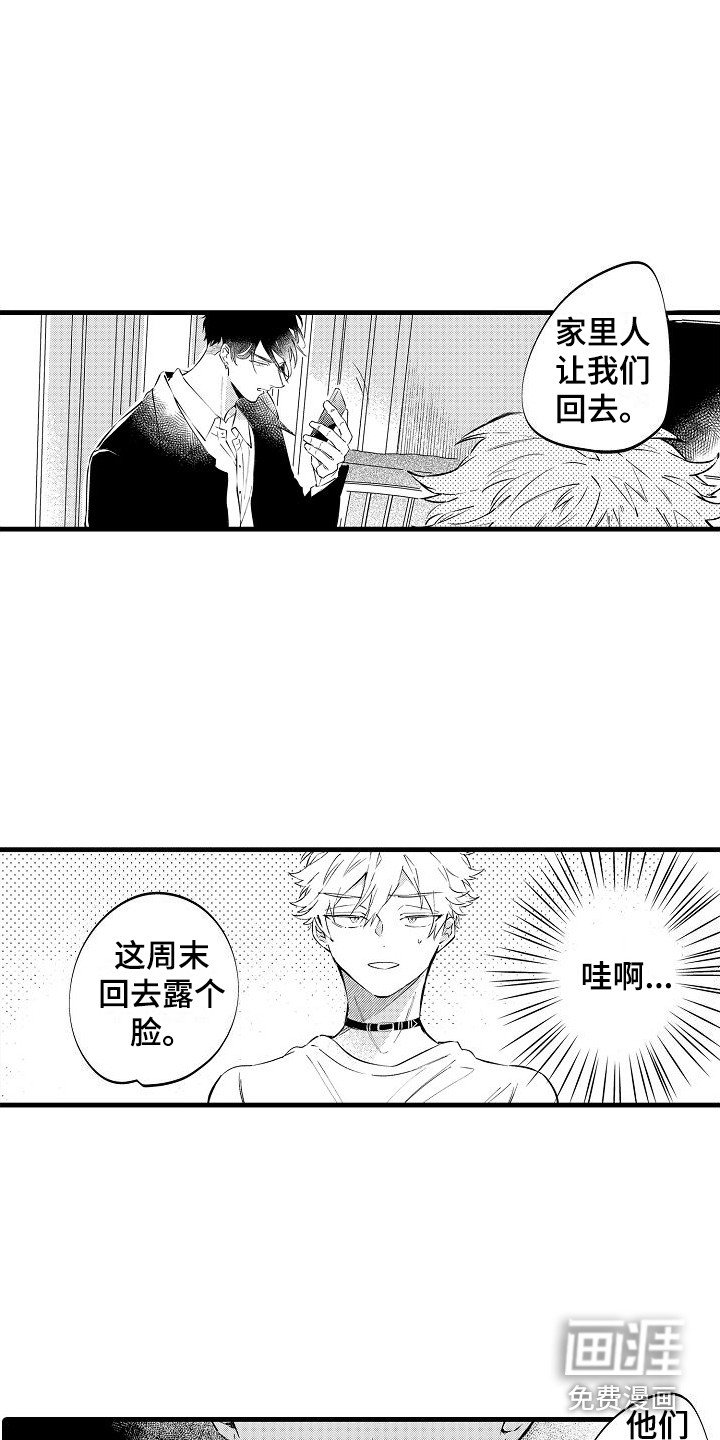 第10章：家庭聚餐