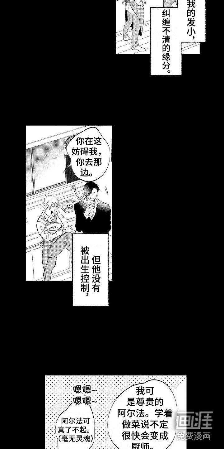 第13章：缘分