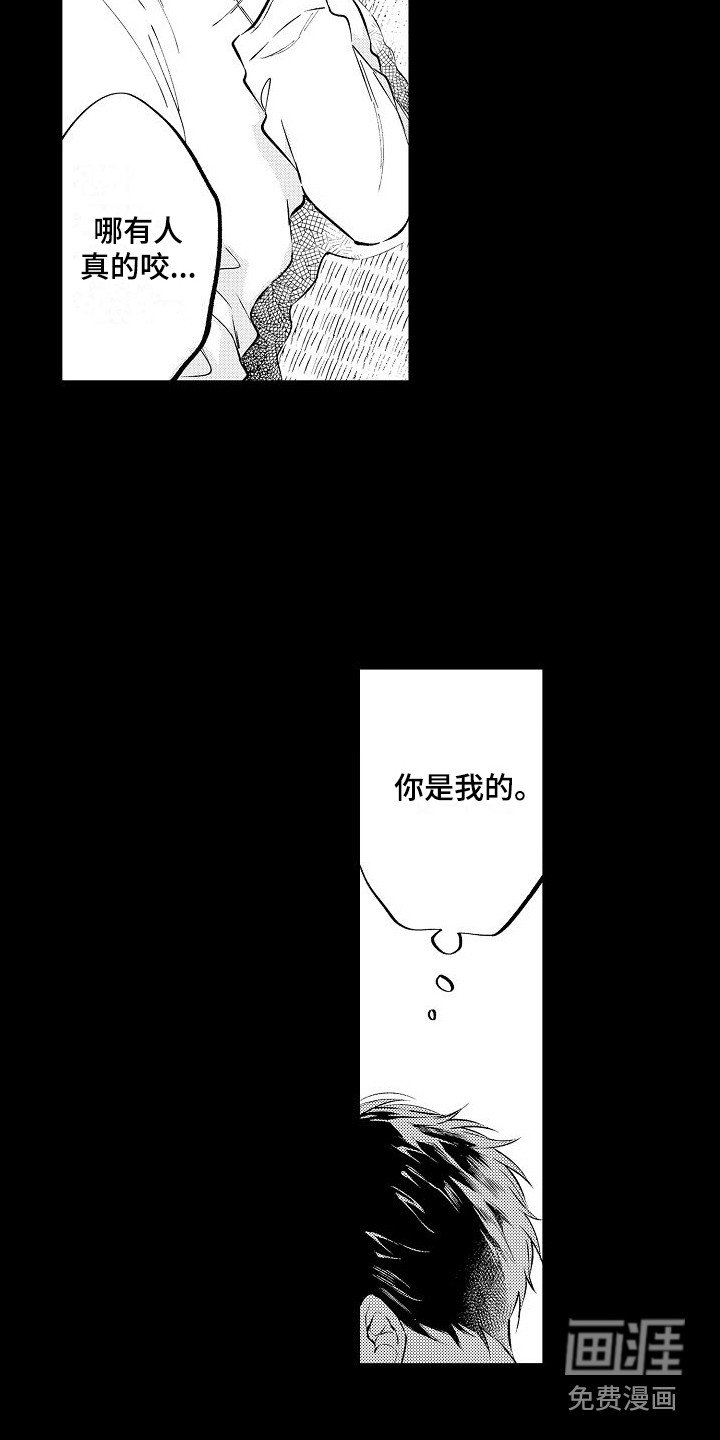 第15章：心意 