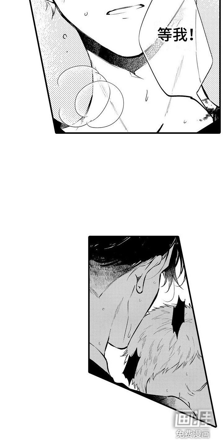 第20章：逃跑 