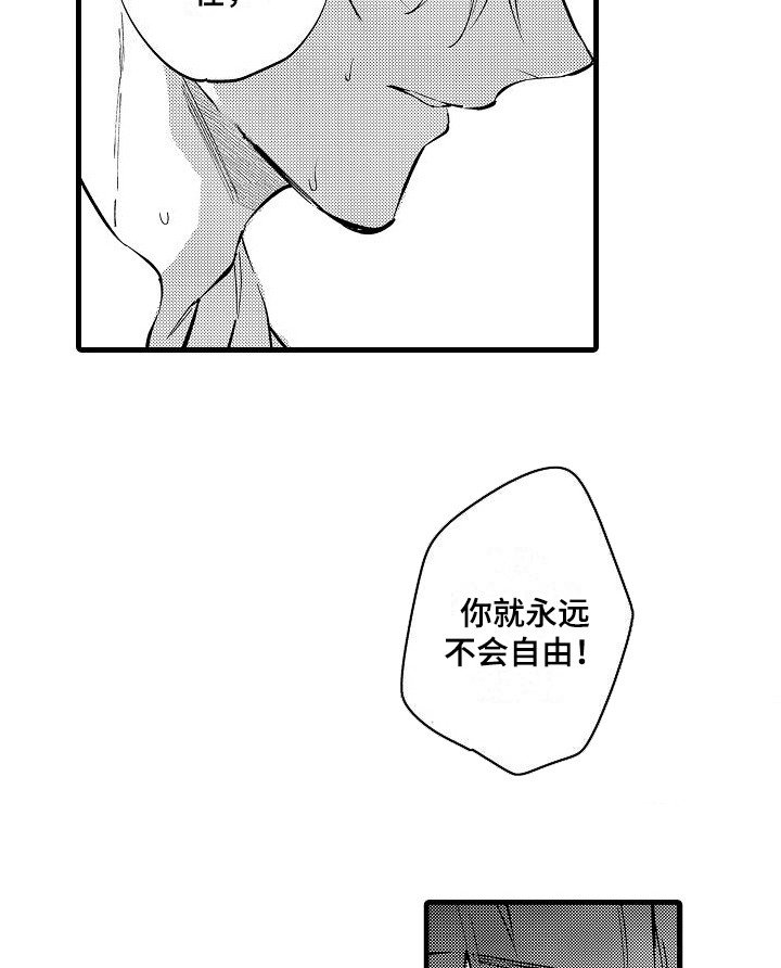 第21章：因为喜欢 