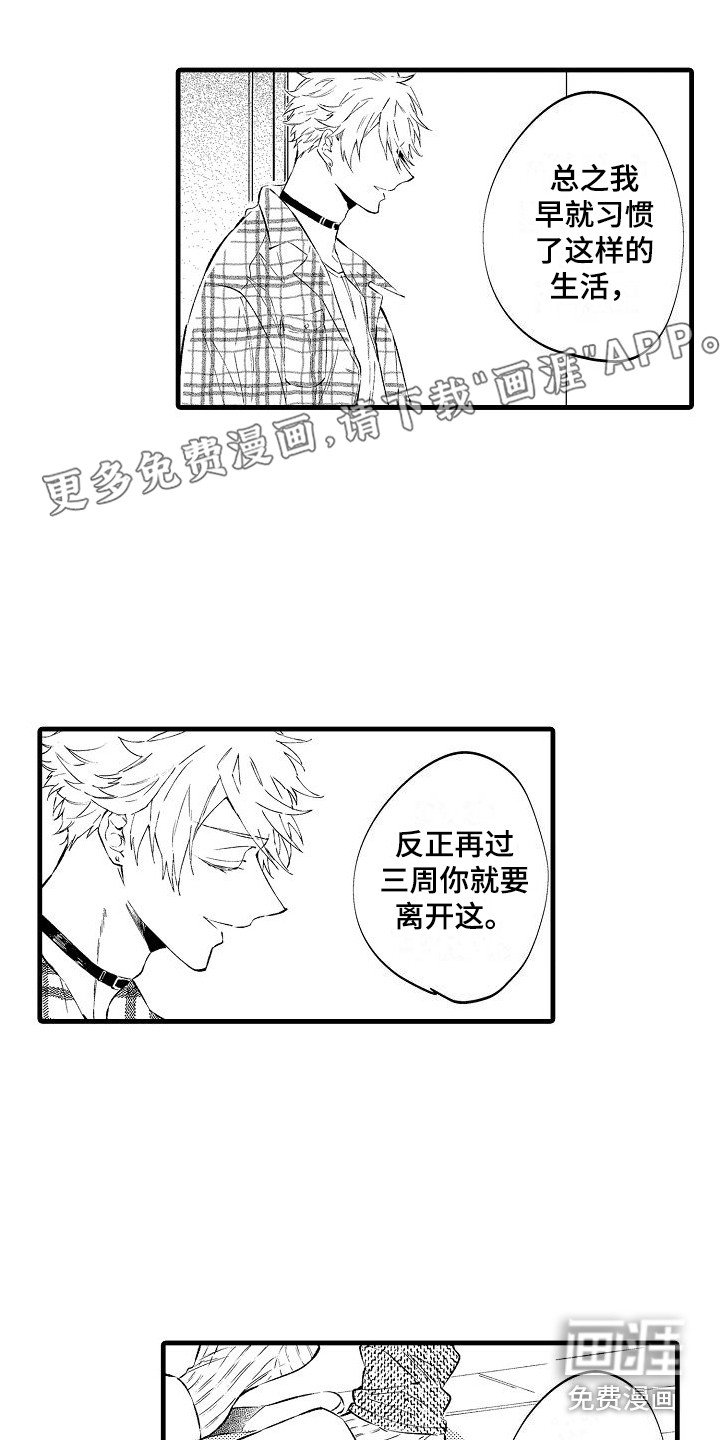 第4章：态度一样