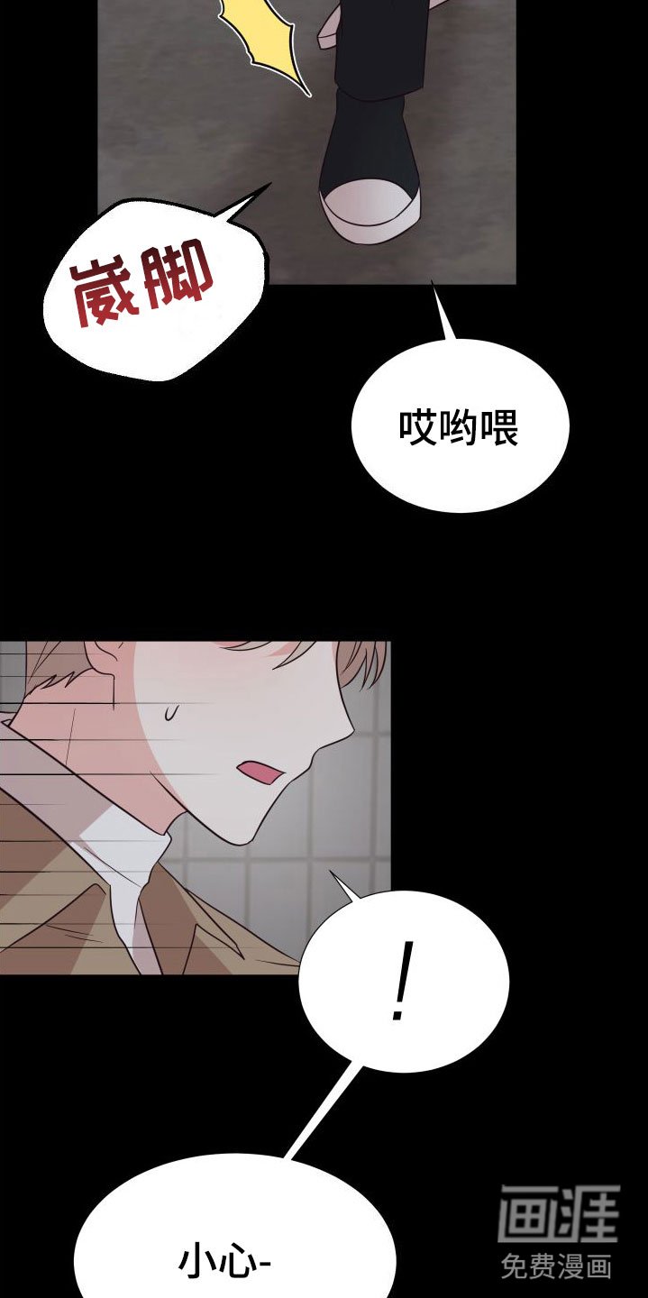 第5章：接下来？