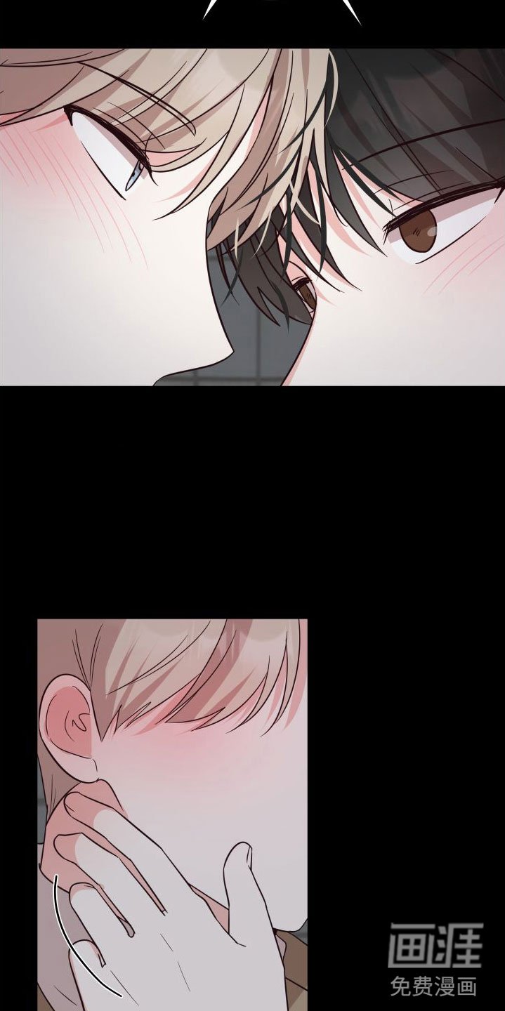 第5章：接下来？