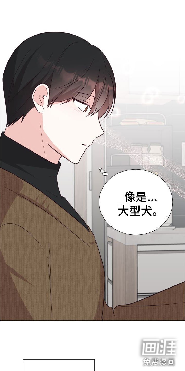 第8章：可爱