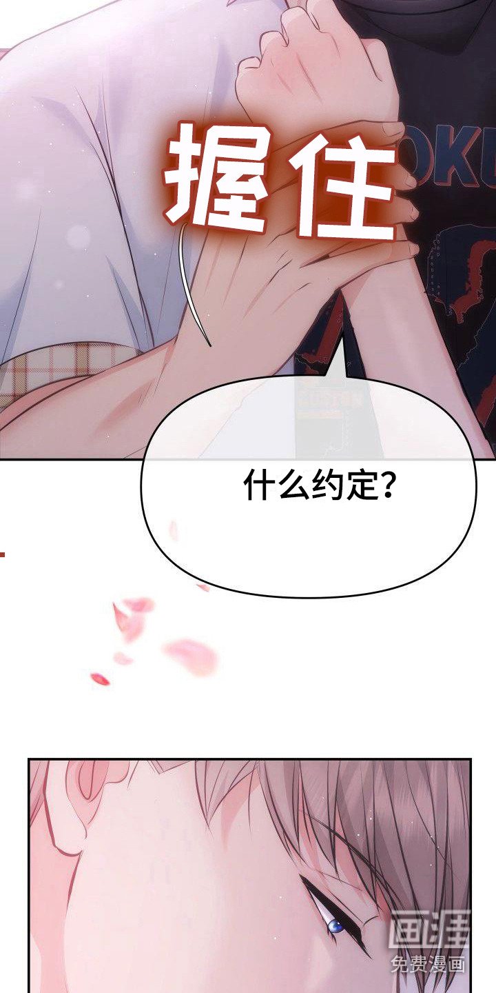 第13章：约定 