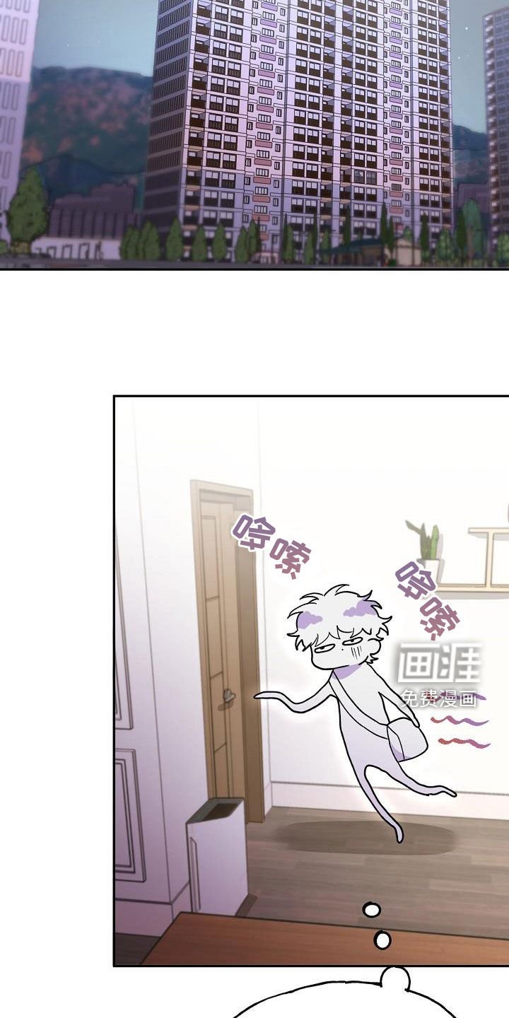 第28章：不能这么活着