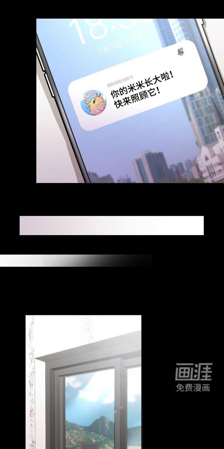 第33章：擅作主张