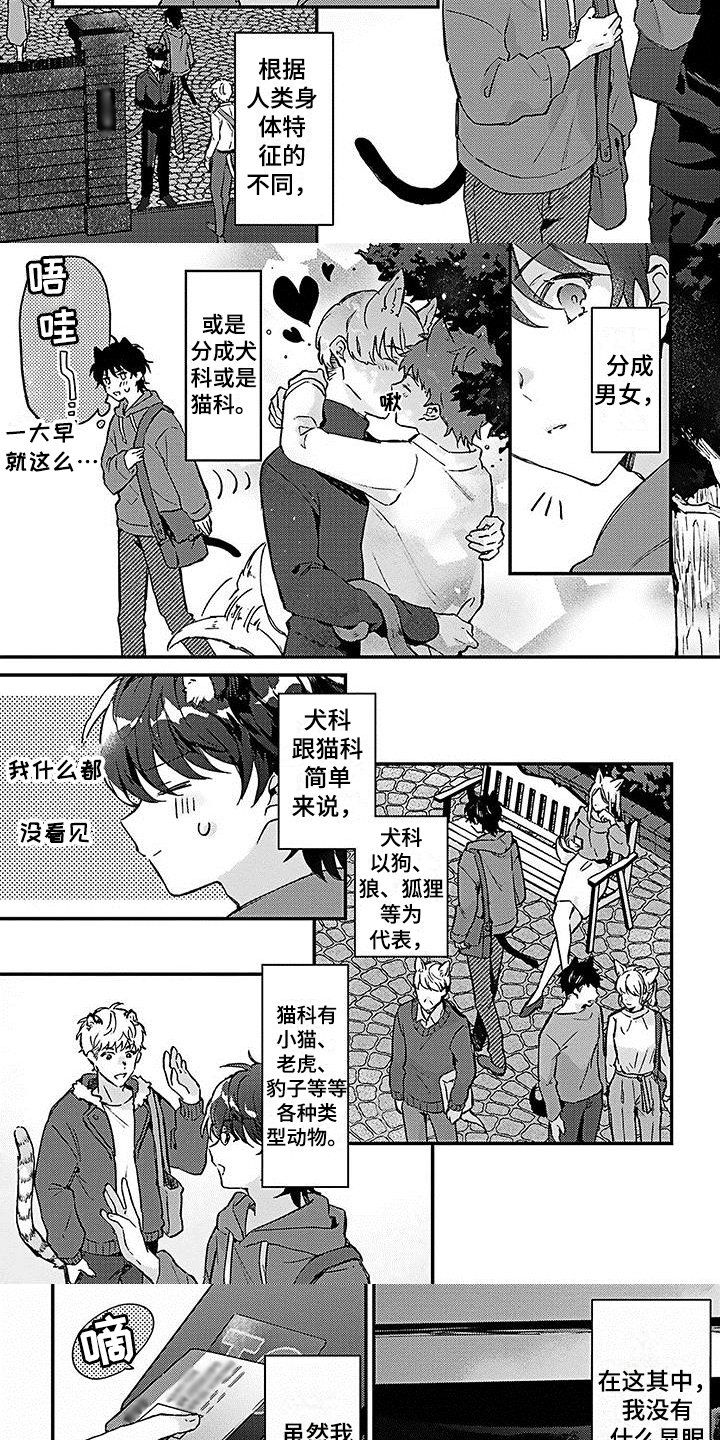 第1章：应聘