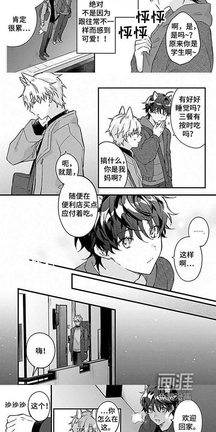 第10章：照顾