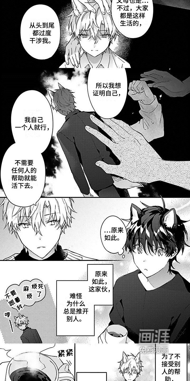 第11章：心动