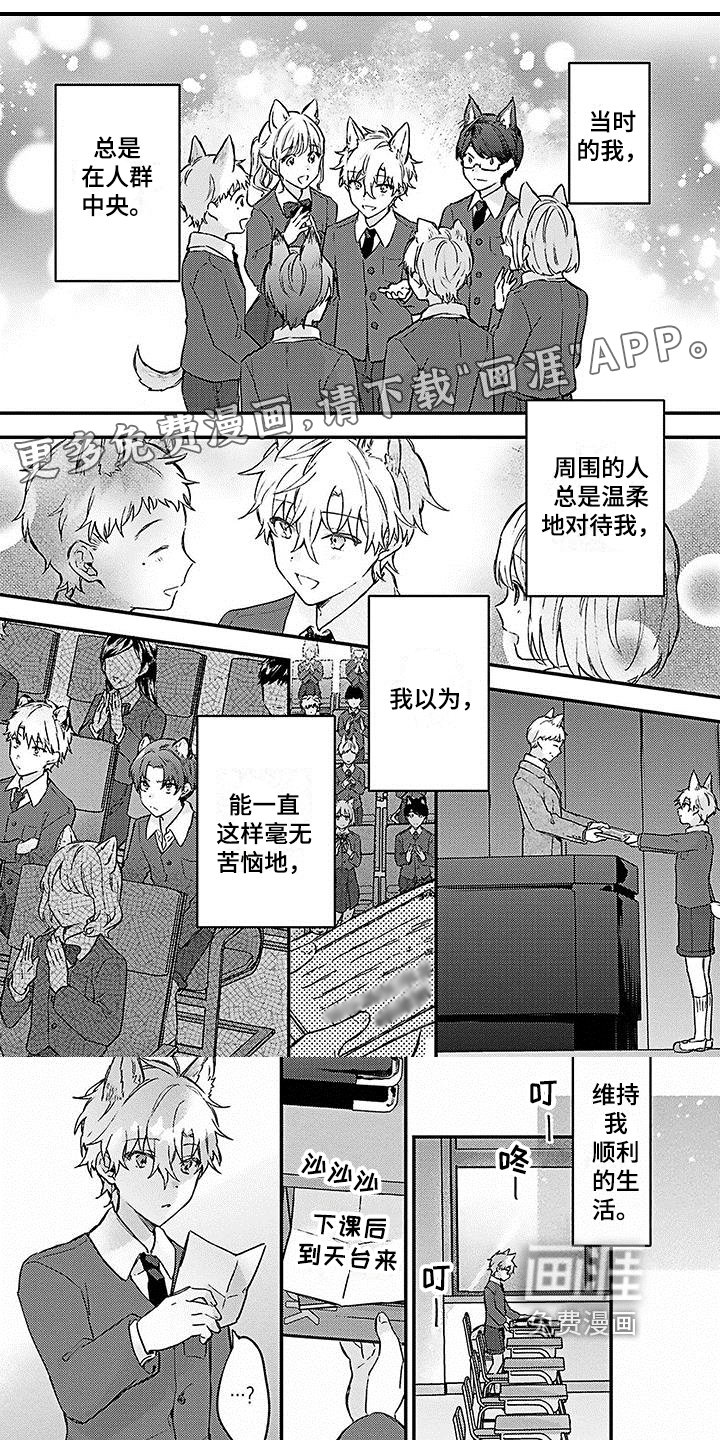 第13章：想法