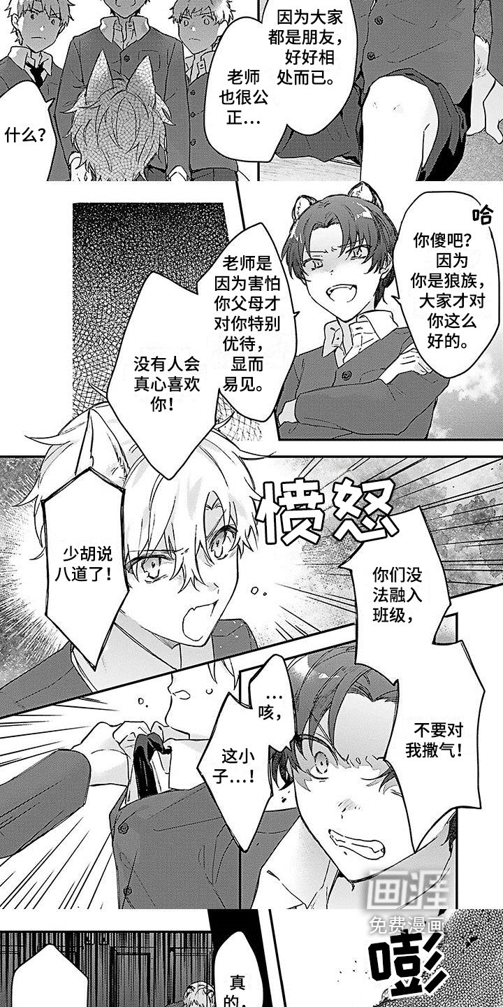 第13章：想法