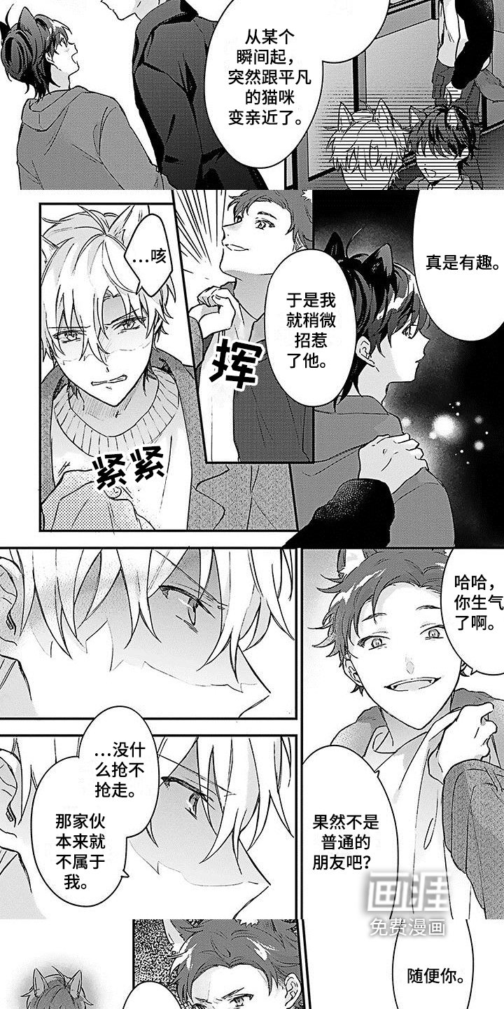 第17章：弱小