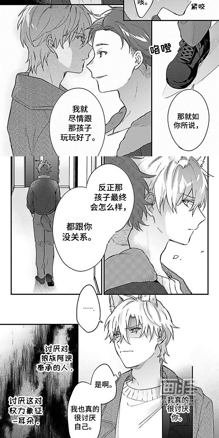 第17章：弱小