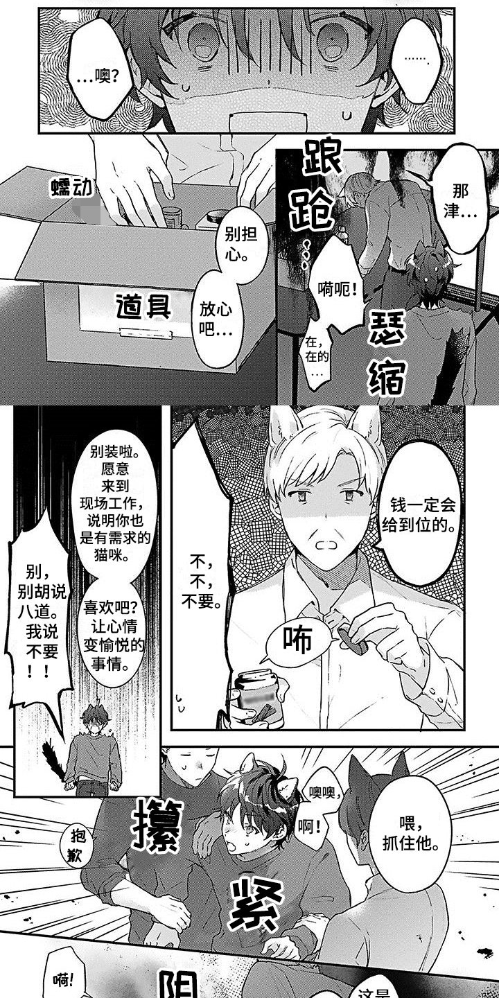 第3章：强迫
