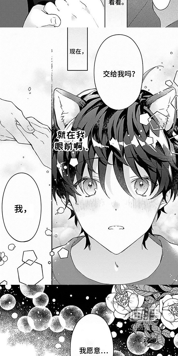 第4章：愿意