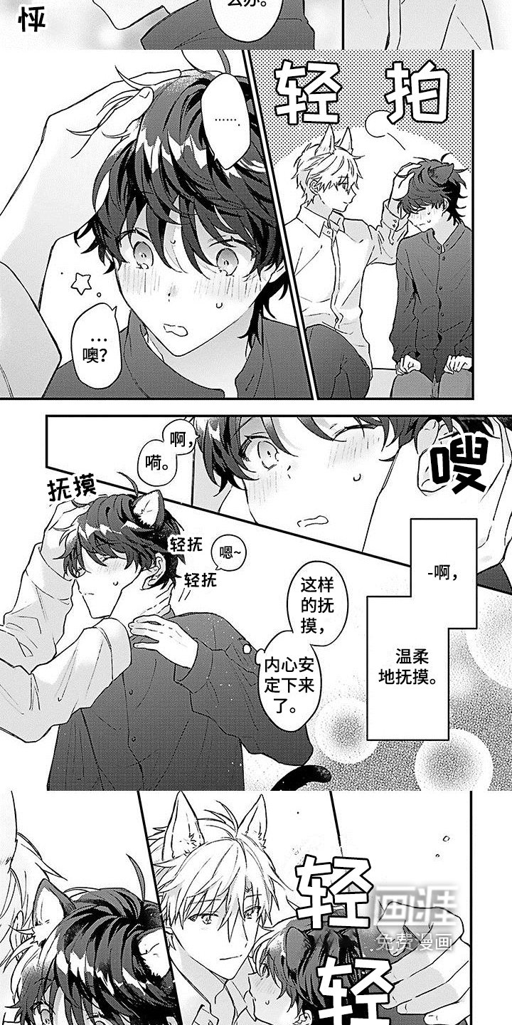 第5章：安定