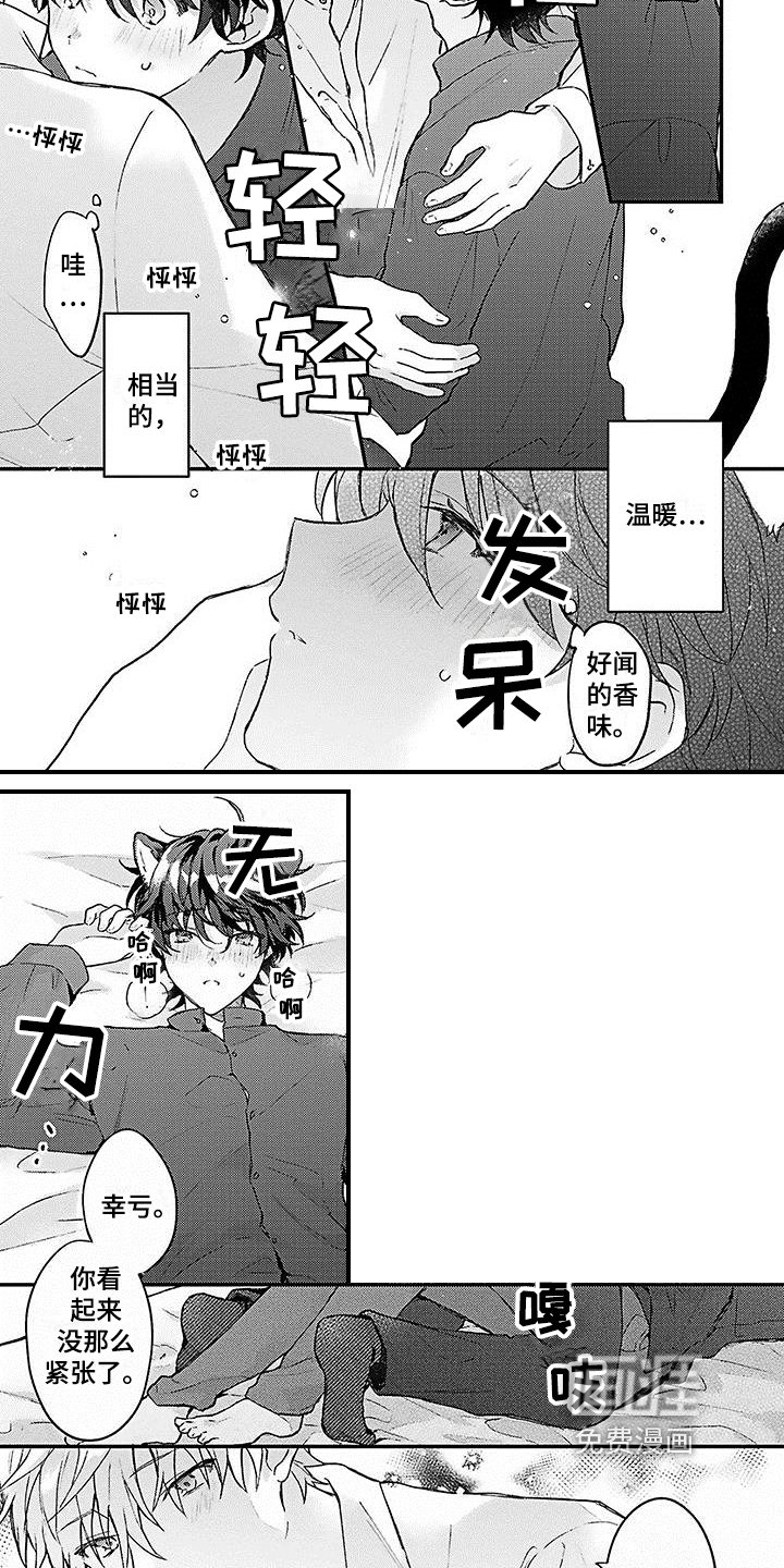 第5章：安定