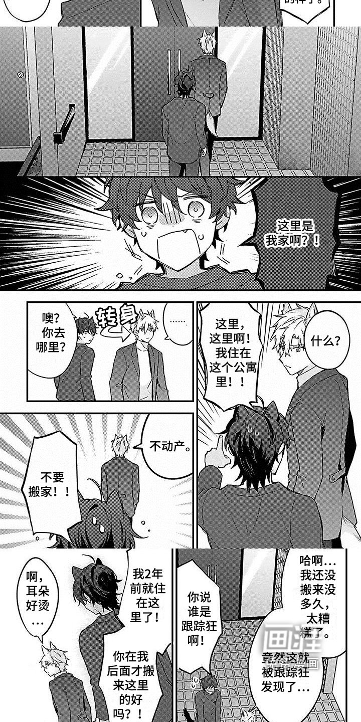 第8章：朋友