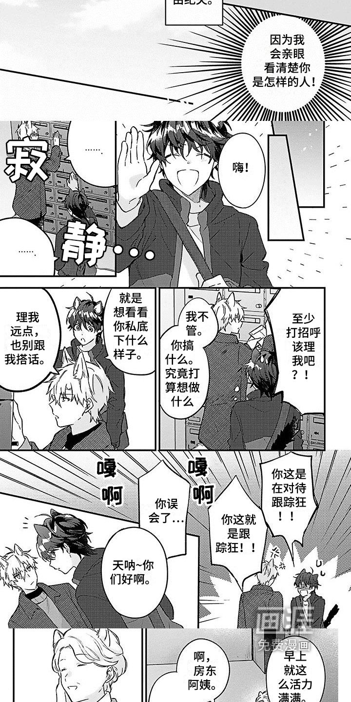 第9章：邻居