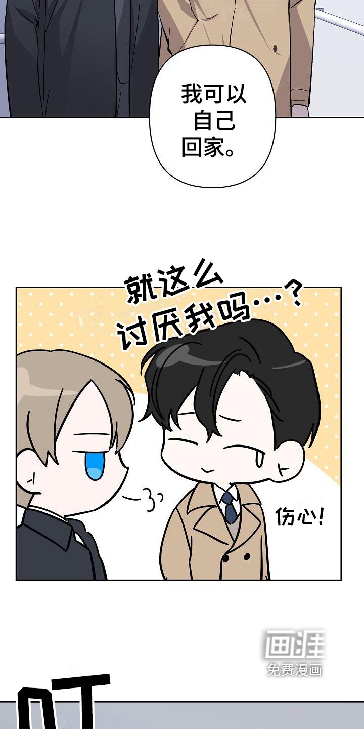 第11章：猜测