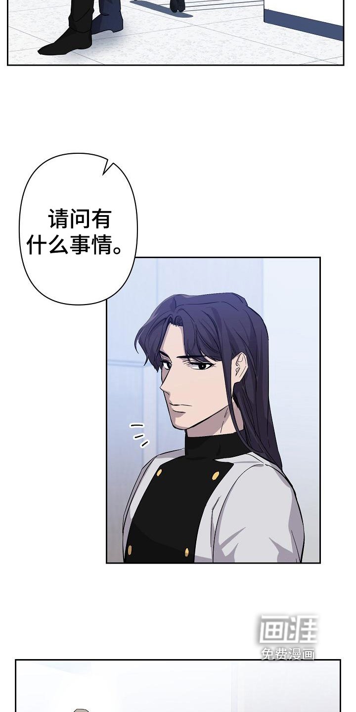 第11章：猜测