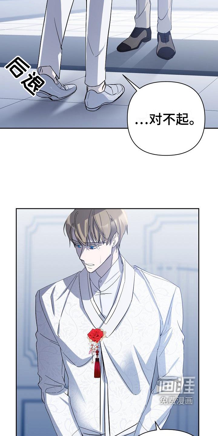 第14章：阴影