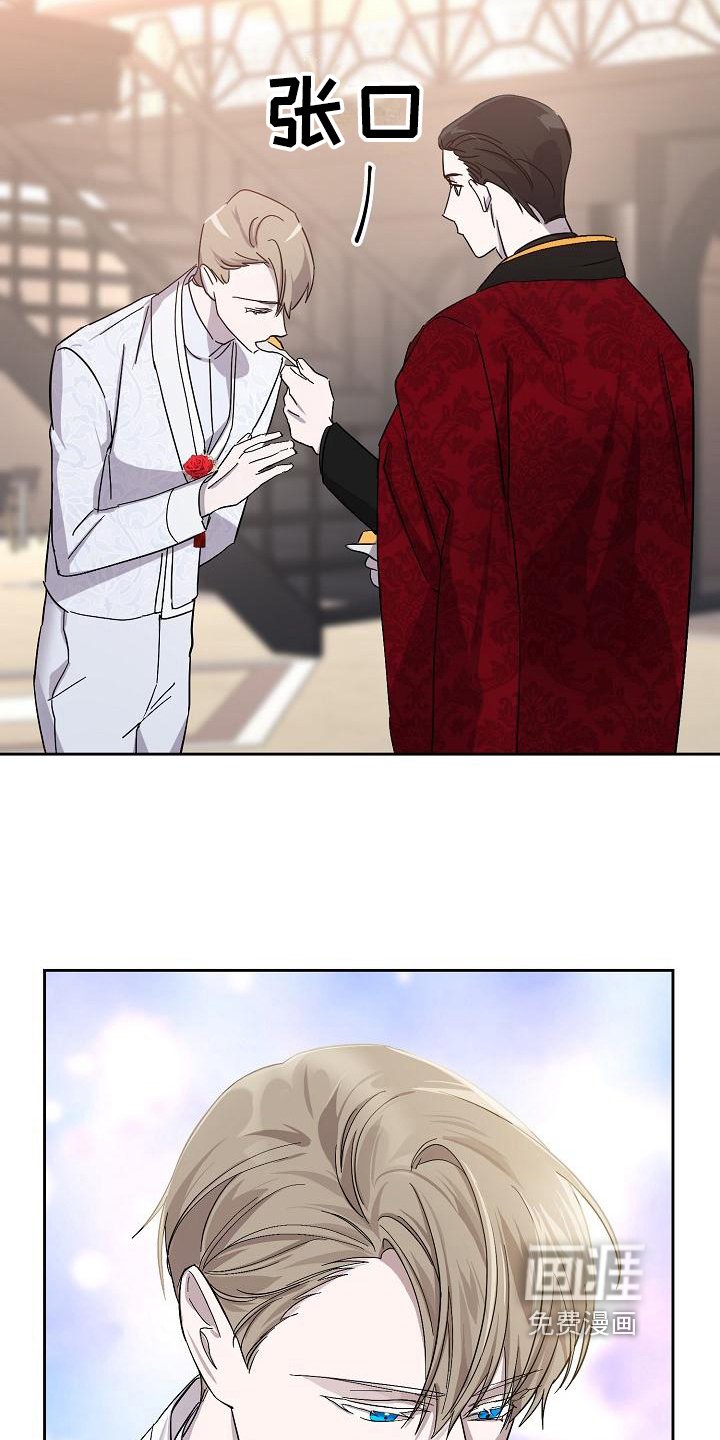 第17章：议论