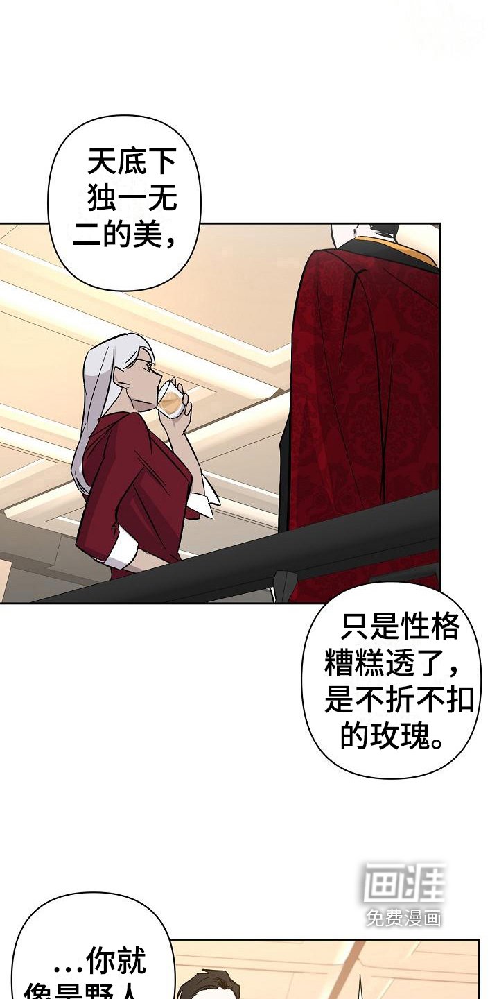 第20章：玫瑰