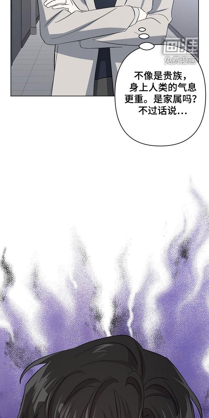 第41章：调查