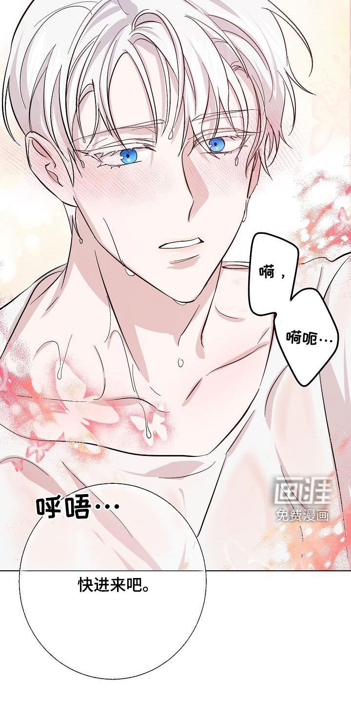 第41章：调查
