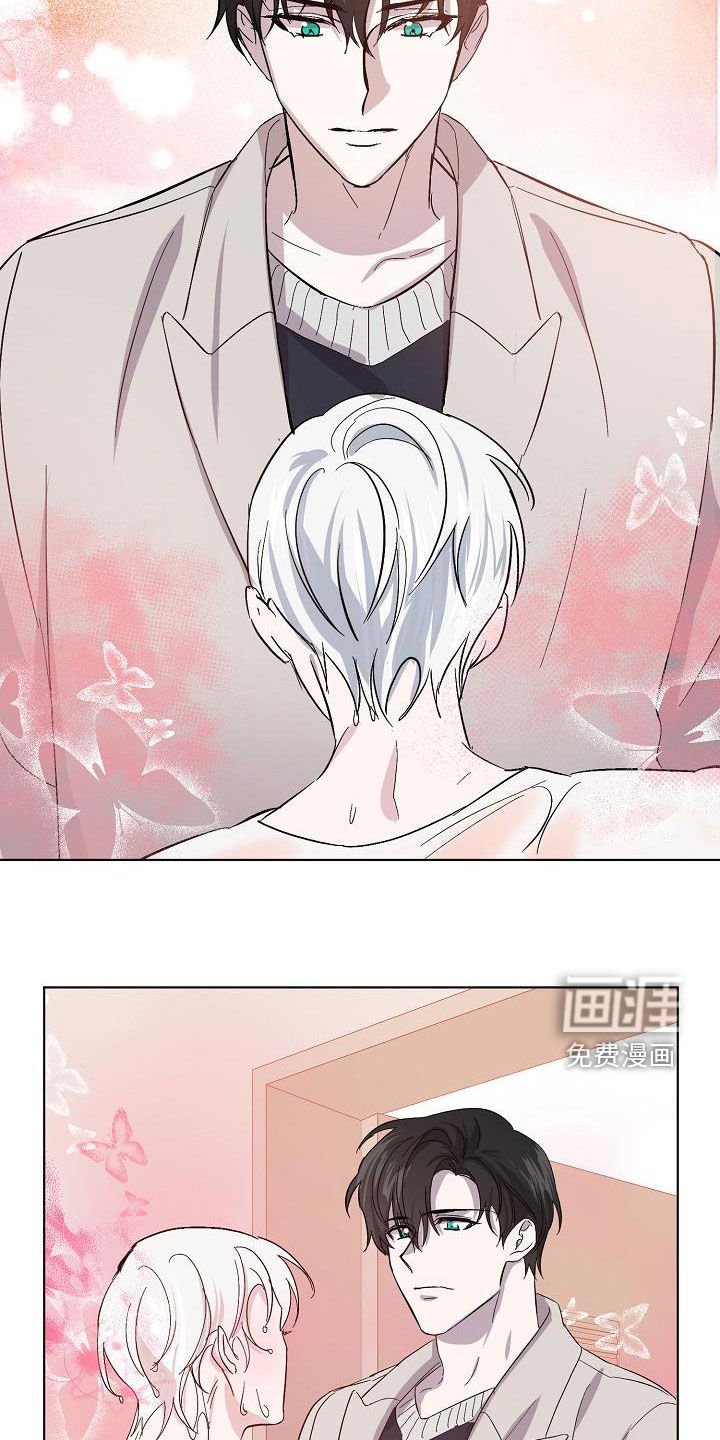 第41章：调查