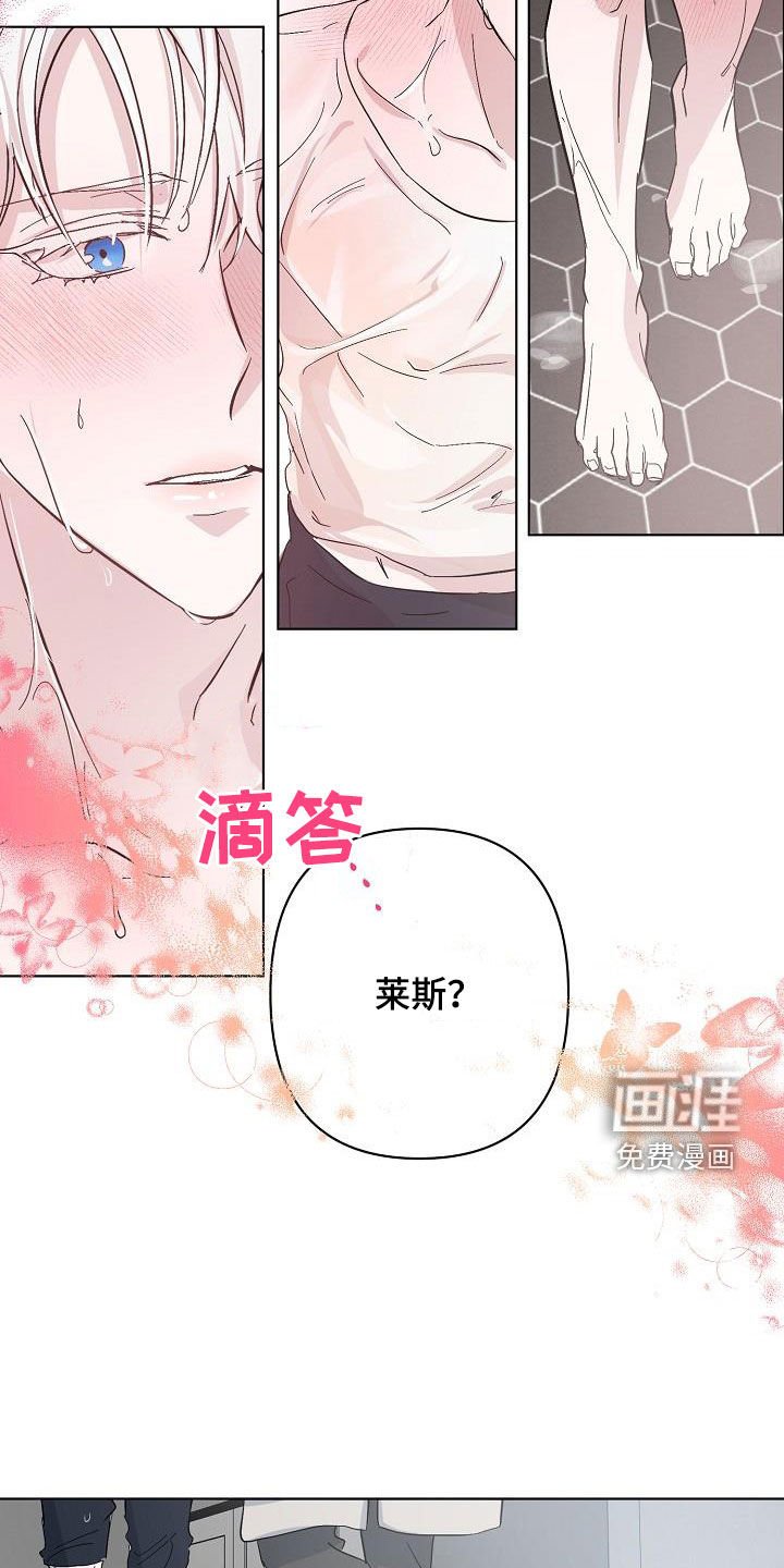 第41章：调查