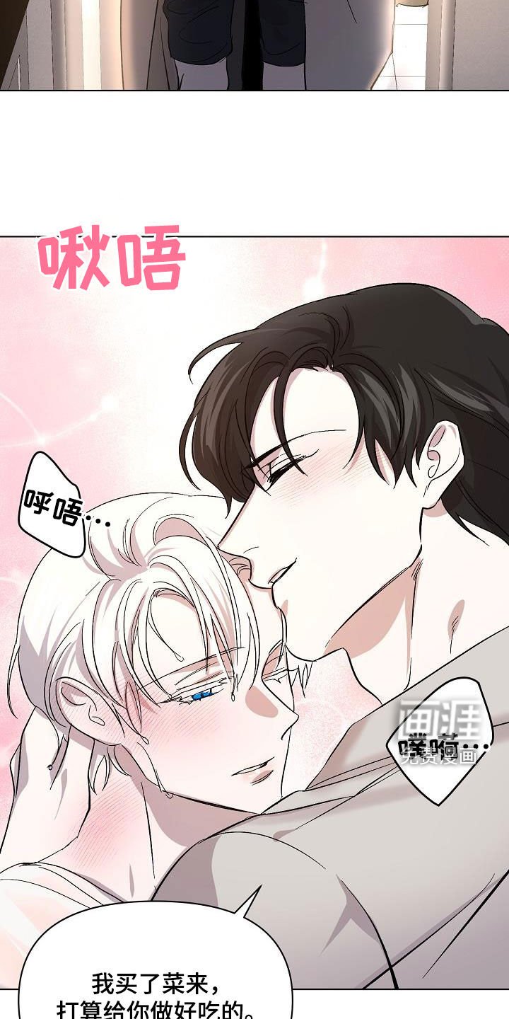 第41章：调查