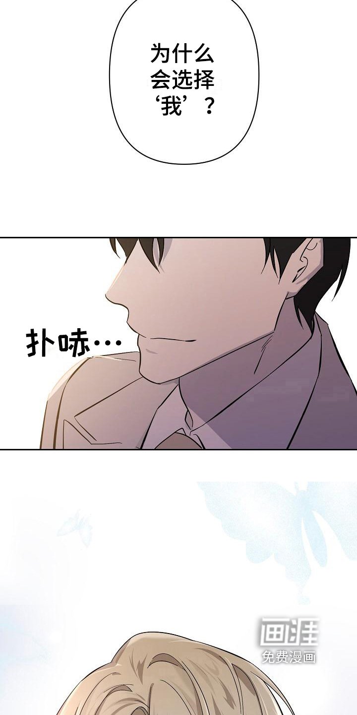 第6章：理由