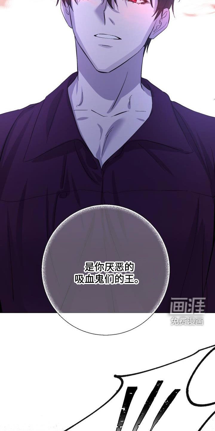 第62章：【第二季】原谅一次