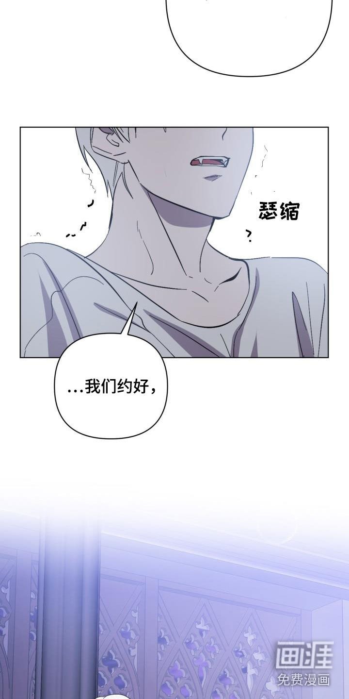 第62章：【第二季】原谅一次
