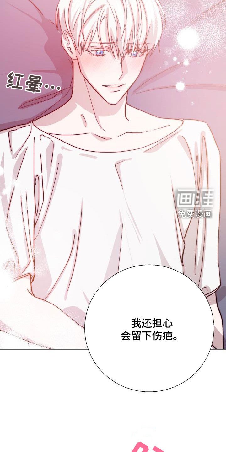 第64章：【第二季】疤痕