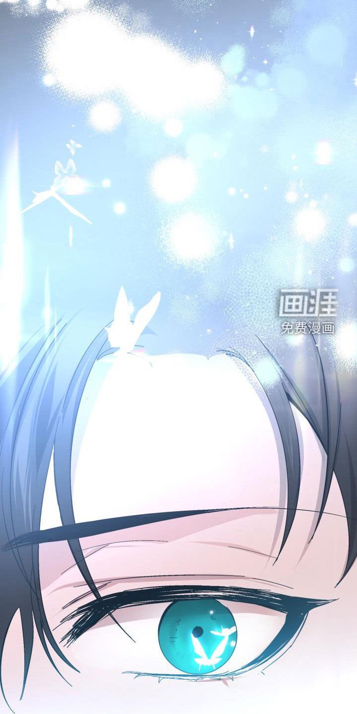 第70章：【第二季】花纹