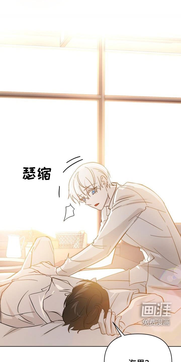 第77章：【第二季完结】永远