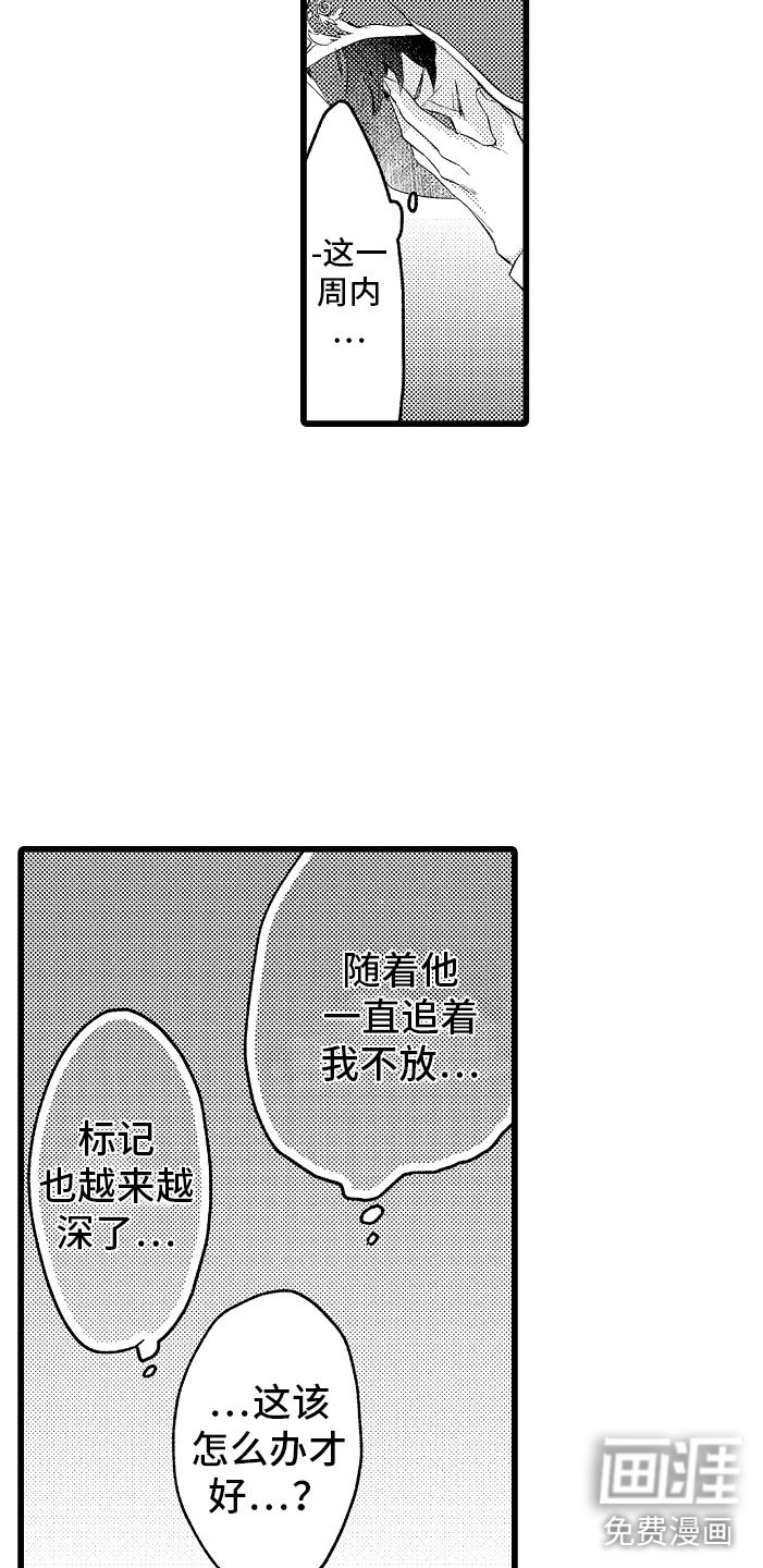 第11章：困局