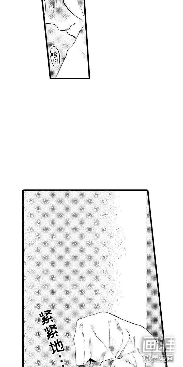 第27章：我允许的