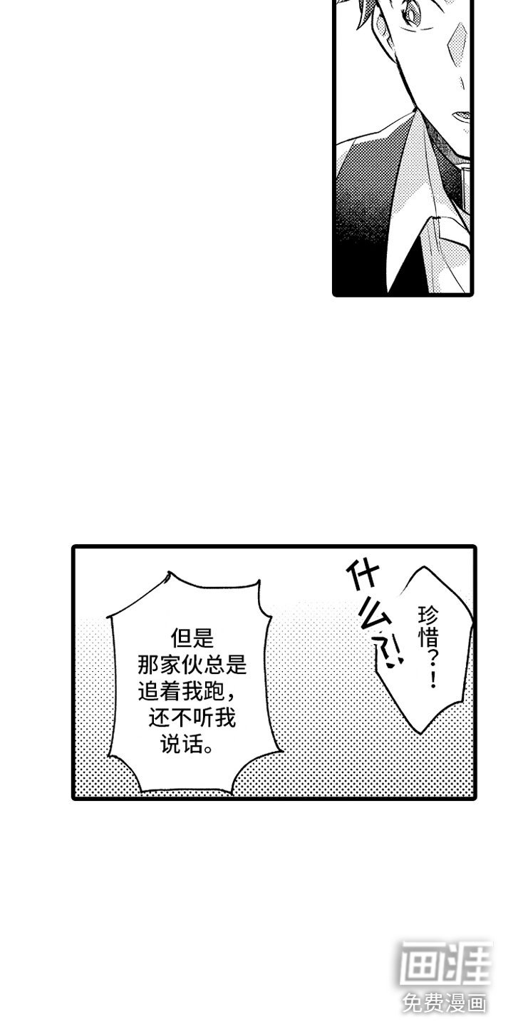 第28章：你的选择？