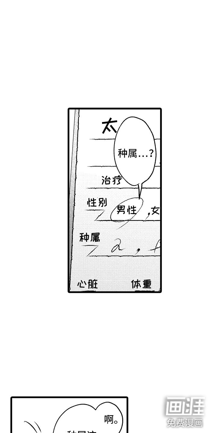 第4章：种属