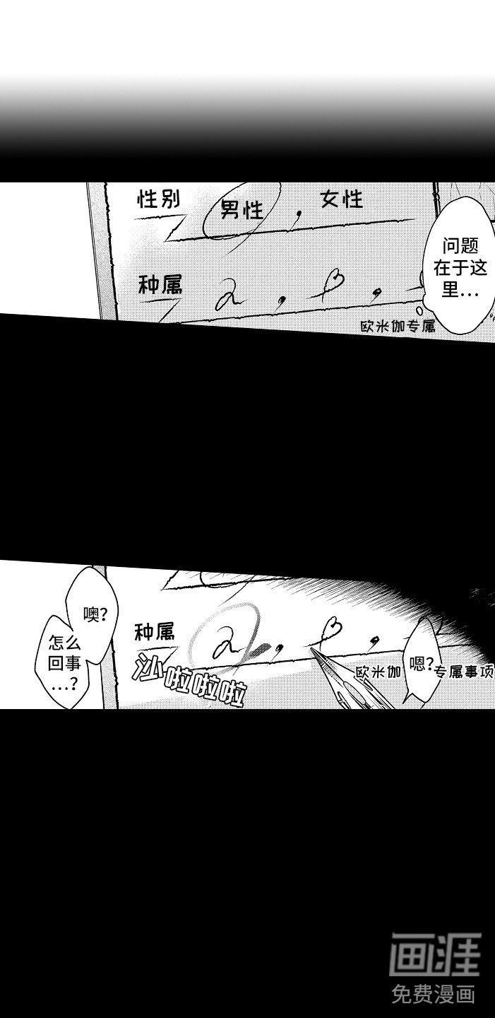 第5章：薛定谔的状态
