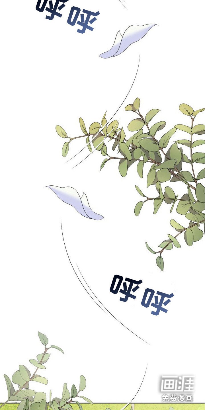第22章：摔倒