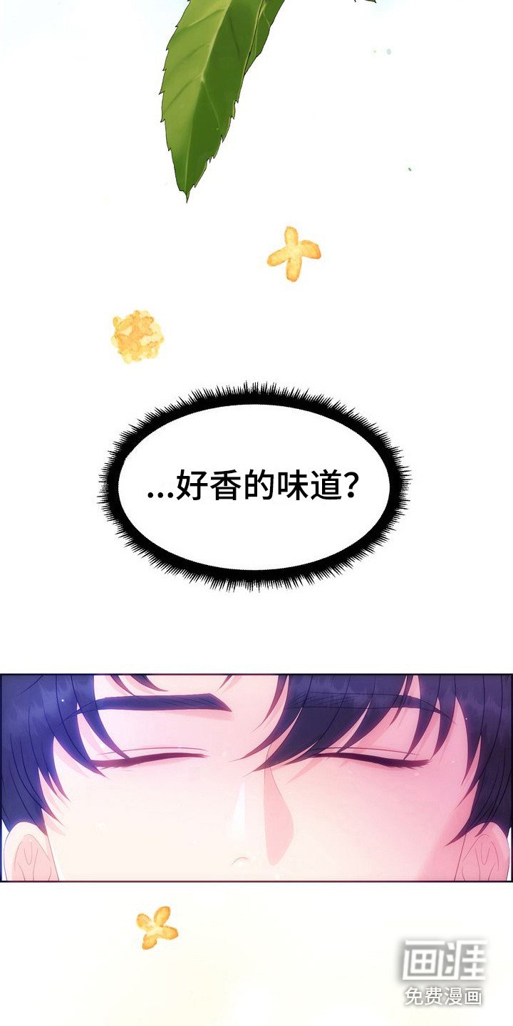 第26章：借口 